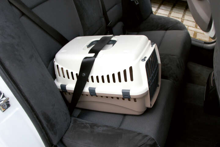 KERBL Transportbox Expedion